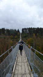 Geierlay Brücke