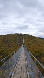 Geierlay Brücke